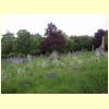 6-WestNorwoodWildFlowers.html