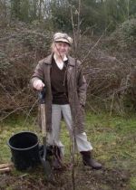 planting a tree